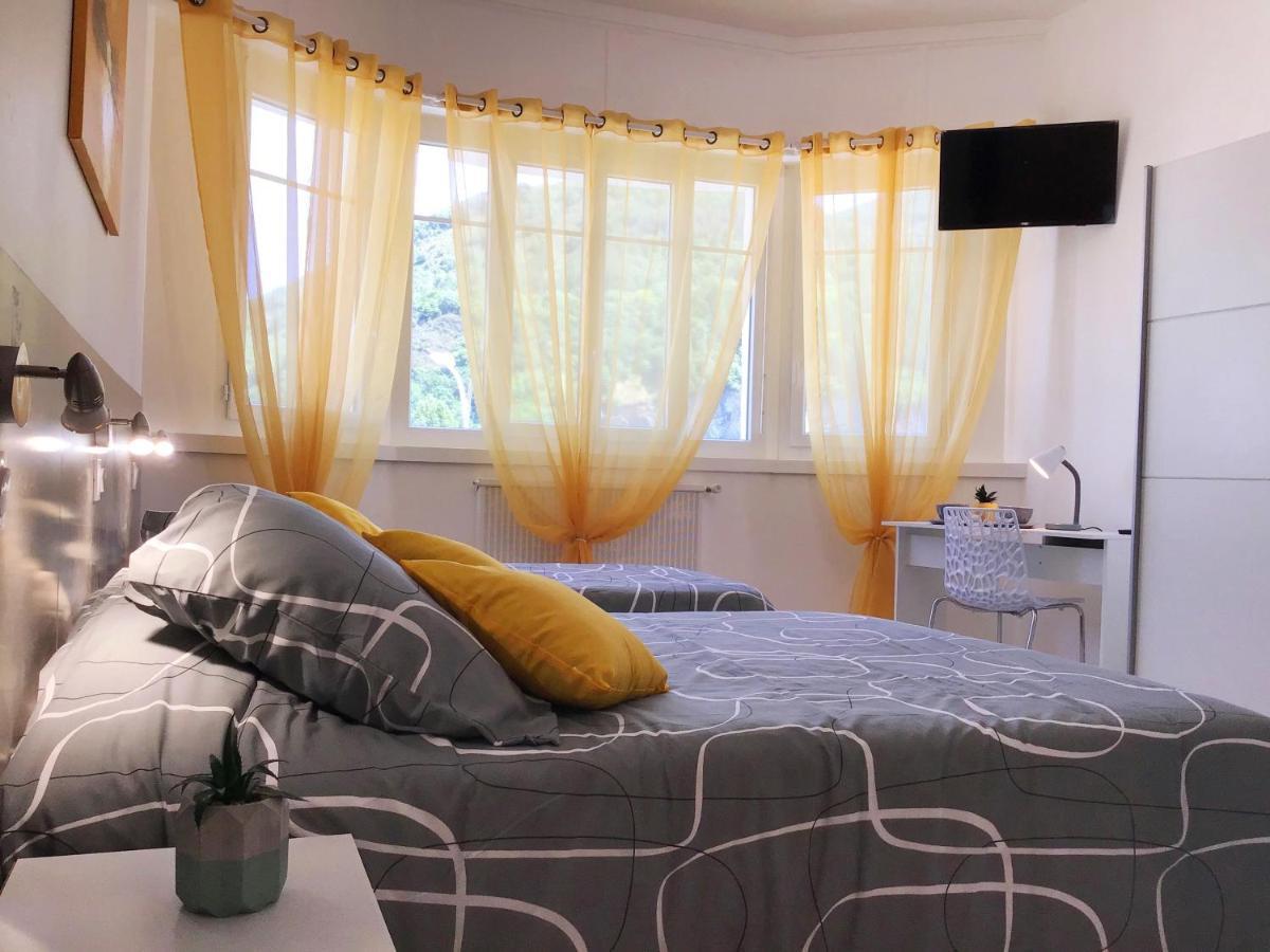 Appartement Le Solea 100M2 Climatise Parking Proche Sanctuaires Lourdes Exterior photo